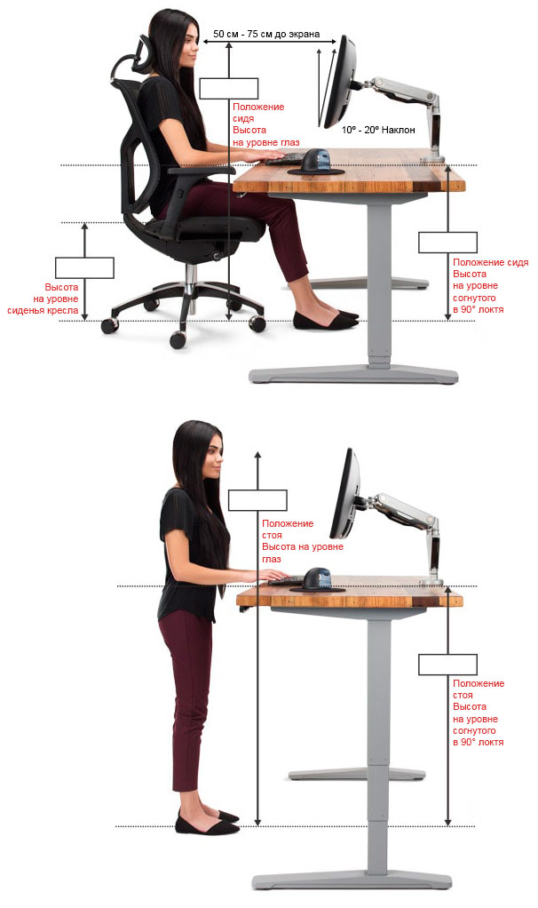 Высота письменного стола в зависимости от роста человека