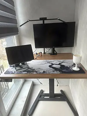 Стол Ergostol One 2.0
Столешница прямоугольная 95*80 см, Дуб Канзас коричневый H1113, ЛДСП 25 мм / One 2.0 (WTT), Рама регулируемая One TT 2.0 (WTT), Черный