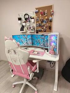 Стол с регулировкой высоты Ergostol Start 2.0